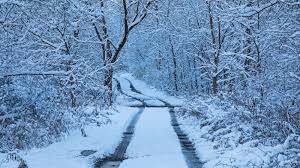 Where Should Snow Days Go?
